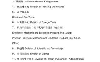 政府相关政策支持英语，政府支持的英语