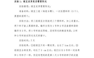 人力资源科研训练论文，人力资源的课题研究