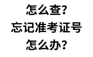 浙大怎么查考试成绩，浙大怎么查考试成绩单