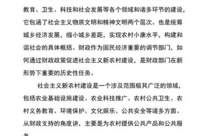 政府财政政策论文，财政政策文献