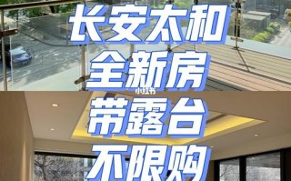 山房产限购政策论文，用产业政策来分析房地产限购令的成因及其效果