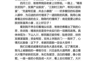 关于扶贫政策的论文，有关于扶贫的论文