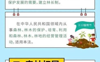 林业政策与法规论文，林业政策与法规电子版的书