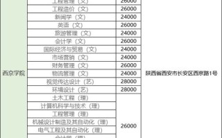 西京学院助学金有什么政策，西京学院助学金有什么政策吗