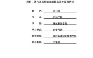 新疆资源税改革论文，2020年资源税改革取得的成效