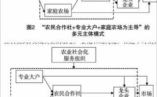 农业政策与推广论文，关于农业推广的论文借鉴文献