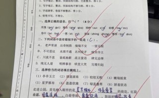 如何准备夏令营考试，如何准备夏令营的专业知识