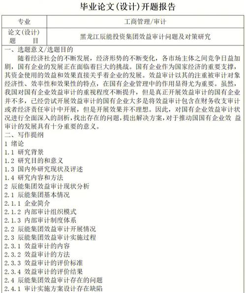 人事资源审计论文，人力资源审计自查报告-第6张图片-优浩百科