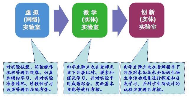 资源共享教学论文，教学优质资源共享案例-第4张图片-优浩百科