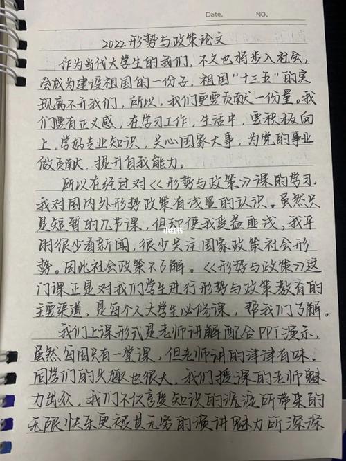 形势政策小论文1000字，形势政策论文1000字大学生-第6张图片-优浩百科