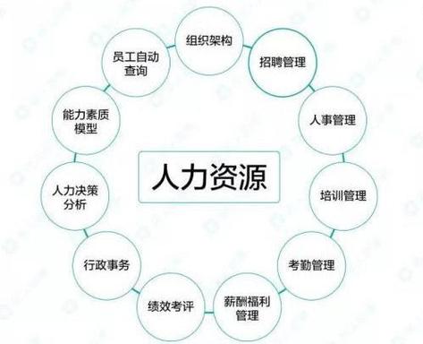 人力资源是什么专业，人力资源是什么专业序号-第2张图片-优浩百科