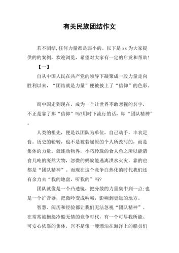 人民民族政策论文，民族政策的论文-第3张图片-优浩百科