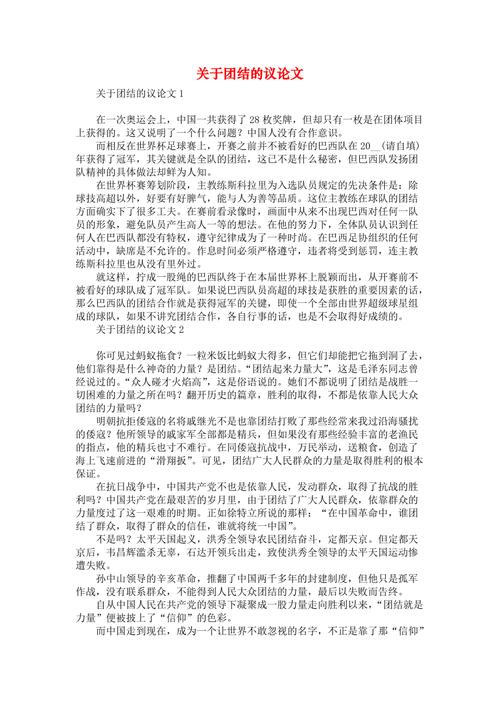 人民民族政策论文，民族政策的论文-第5张图片-优浩百科