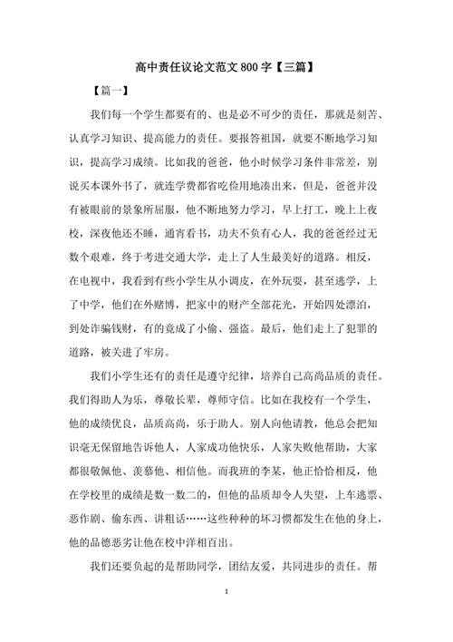 责任的政策论文，关于责任的论述文-第2张图片-优浩百科