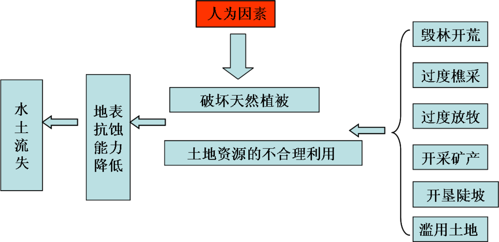 国有资源流失论文，国有资源流失领导有什么责任-第2张图片-优浩百科