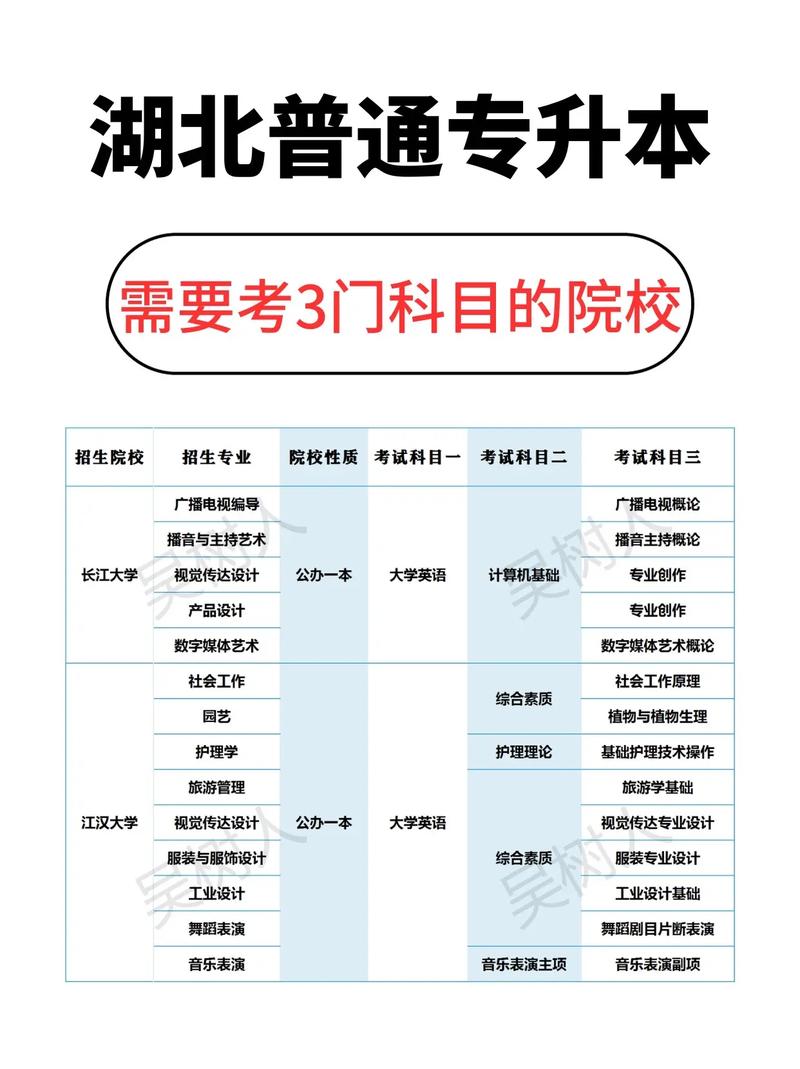 大学考试科目有哪些，大学的考试科目-第8张图片-优浩百科