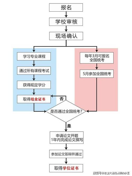 怎么网上报名考研考试，网上报名考研流程图-第7张图片-优浩百科