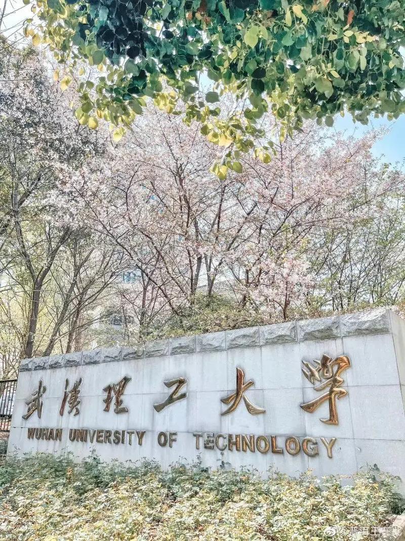 武理工资源学院怎么样，武汉理工大学资源与环境学院官方网站-第3张图片-优浩百科