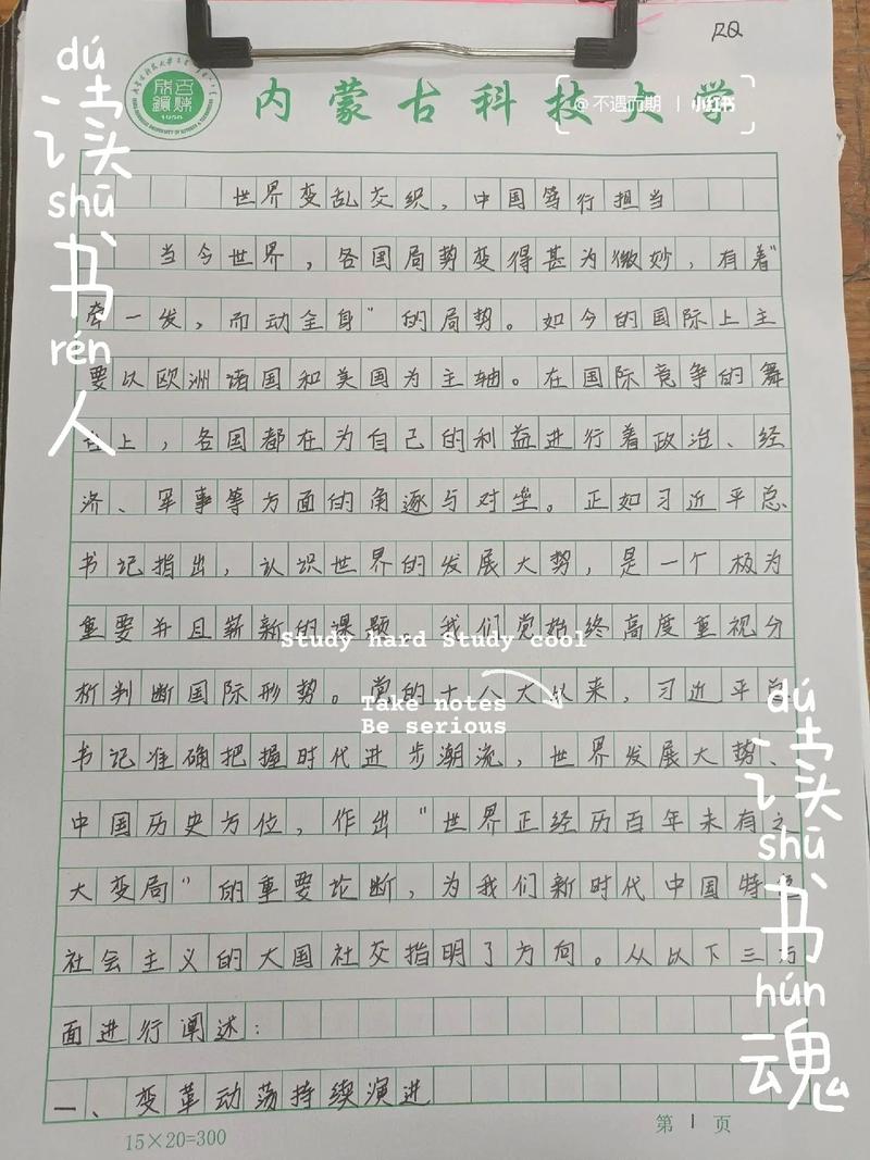 中国的外交政策论文，中国的外交政策论文1000字-第8张图片-优浩百科